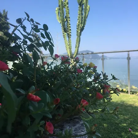 Evita Villa Mesongí